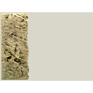 Slim Line Rückwand 60C Sand L: 20 x H: 55 cm