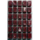 Poseidon Freeze Tubifix 100g Blister 10x100g