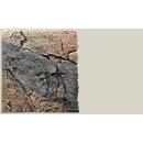 Slim Line Rückwand 60A Basalt/Gneiss L: 50 x H: 55 cm