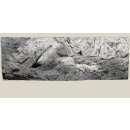 R&uuml;ckwand River L: 150 x H: 50 cm